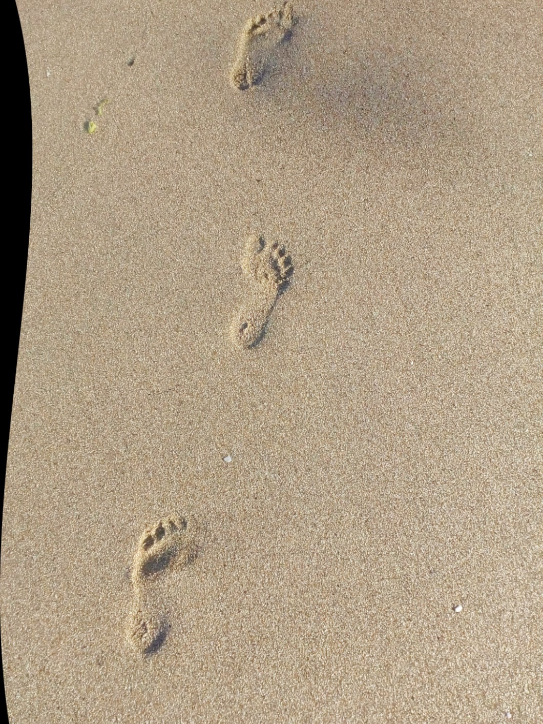 Footprints along a stretch of sand, trailing toward the horizon.